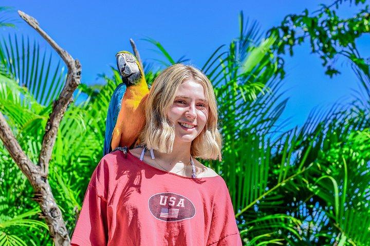 Punta Cana: Monkey Park, Farm & Cenote Swim Full Combo