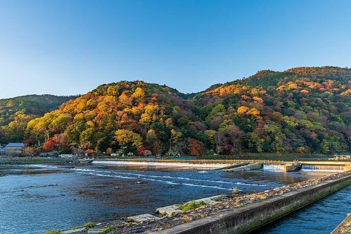 京都の風光明媚な西を縦断 - 嵐山から金閣寺まで