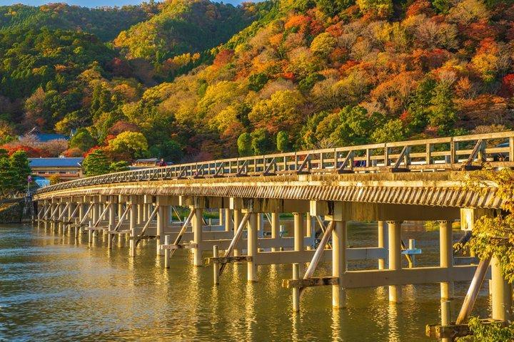 京都の風光明媚な西を縦断 - 嵐山から金閣寺まで