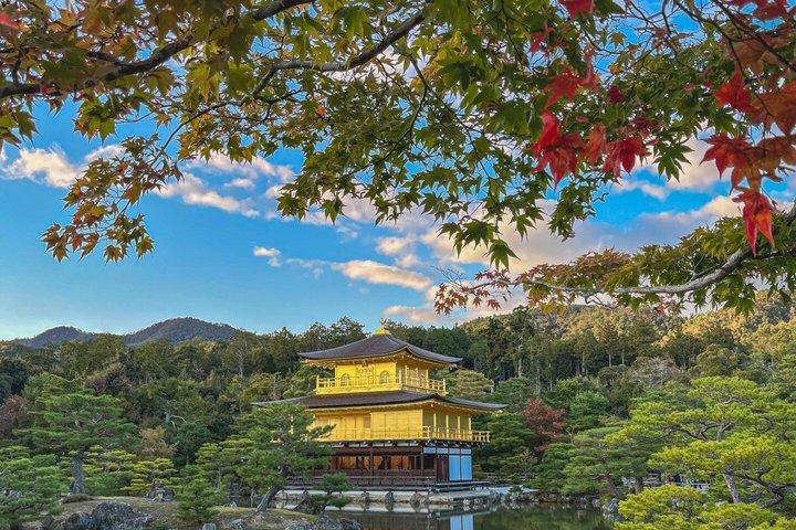 Atravessando o oeste panorâmico de Kyoto - Arashiyama até Kinkakuji