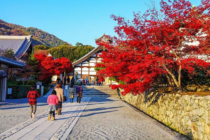 京都の風光明媚な西を縦断 - 嵐山から金閣寺まで