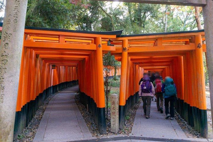 Ruta del patrimonio de Kioto: el misterio de Fushimi Inari al templo Kiyomizu