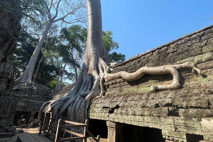 Amanhecer em Angkor Wat e Small Tour fora da pista batida