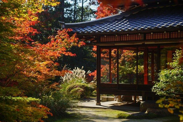 竹工芸、禅の静寂、そして京都の銀閣寺