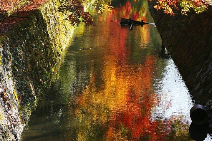 竹工芸、禅の静寂、そして京都の銀閣寺