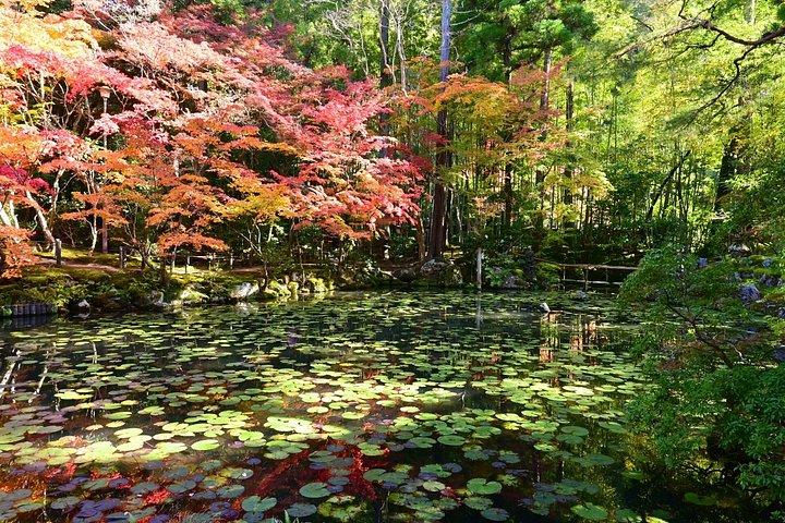 竹工芸、禅の静寂、そして京都の銀閣寺