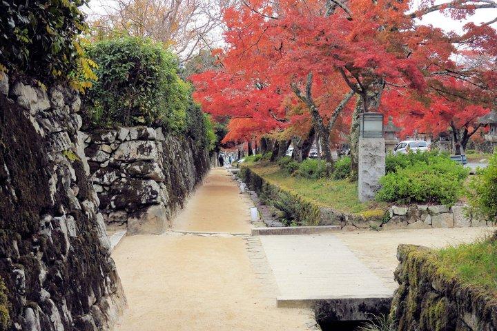 霊峰と絶景比叡山延暦寺と日吉神社