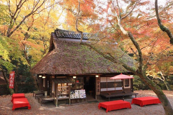 Excursion d'une journée à Nara : Todai-ji, Kasuga Taisha et promenade du cerf sacré