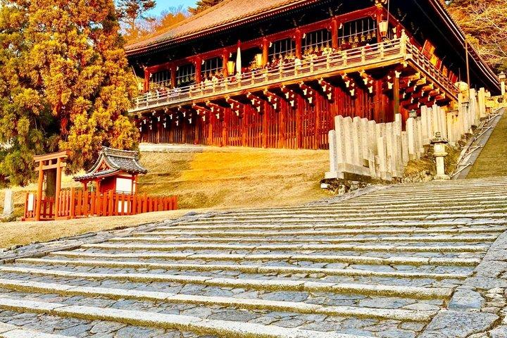 Excursion d'une journée à Nara : Todai-ji, Kasuga Taisha et promenade du cerf sacré