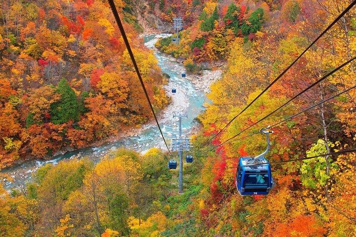 新潟の紅葉苗場のゴンドラと田代ロープウェイ