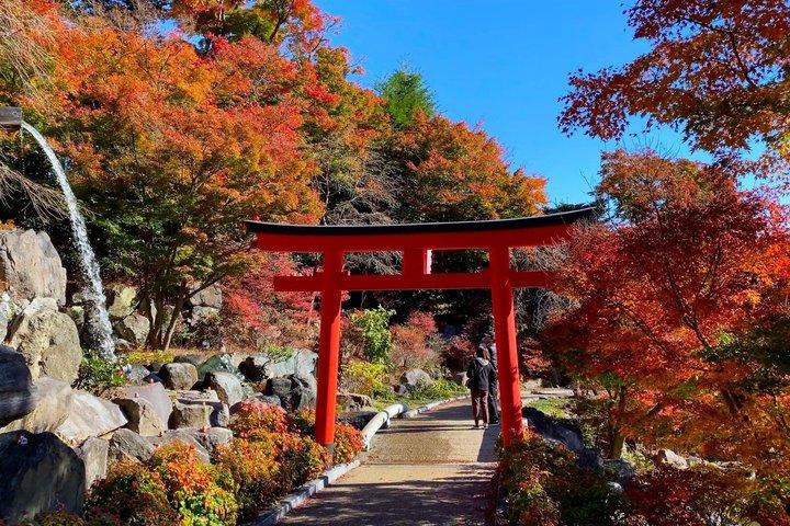 大阪の秘密の冒険：だるまマジックと箕面の滝