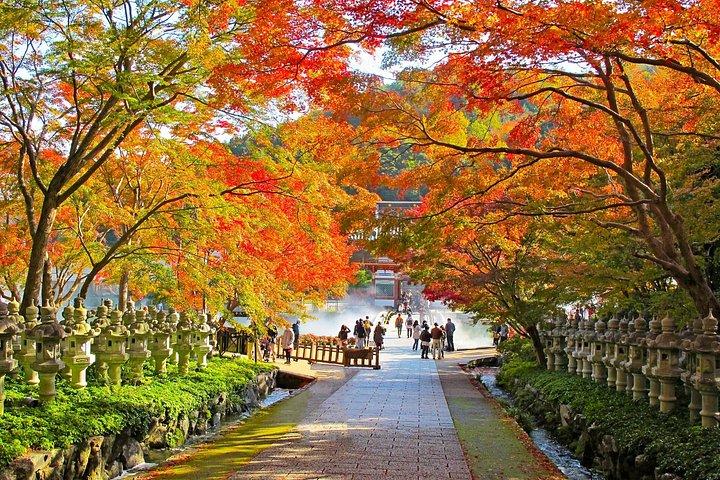 大阪の秘密の冒険：だるまマジックと箕面の滝