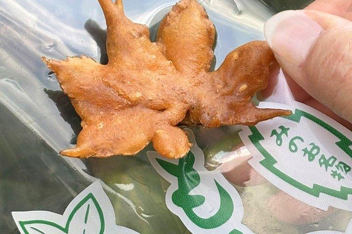大阪の秘密の冒険：だるまマジックと箕面の滝