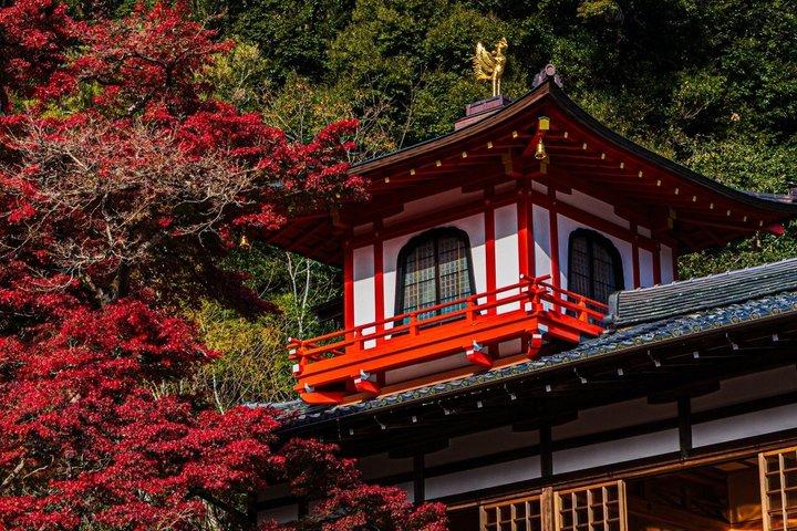 大阪の秘密の冒険：だるまマジックと箕面の滝