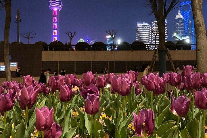 上海1日ツアー朱家角ザ・ブントと上海タワー