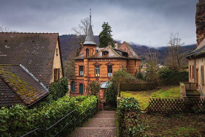 TOP Heidelberg : Private Guided Tour with your mobile