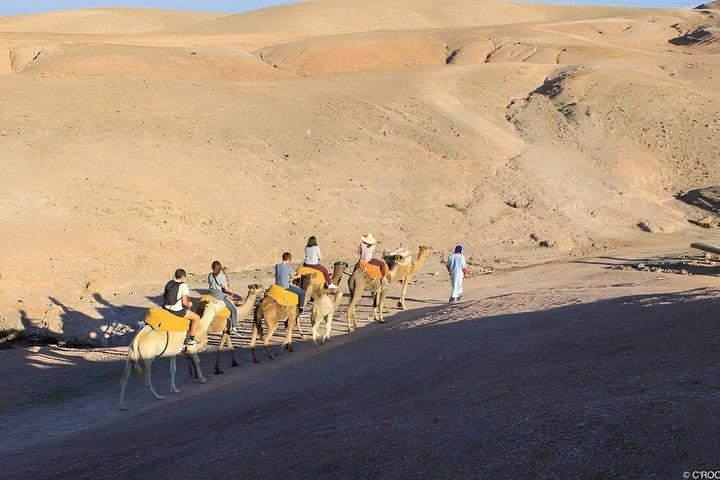 Agafay Desert Tour Camel Ride Quad Biking and Dinner Show