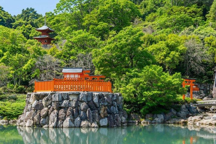 大阪/京都： 勝王子・嵐山・金閣寺日帰りツアー