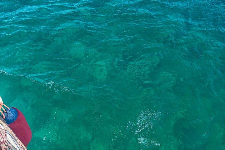 カタマラン船での共同ツアー - チンクエテッレと詩人の湾