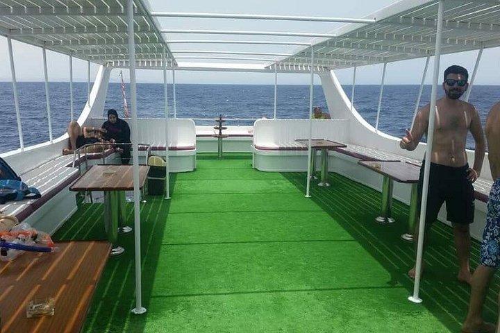 シャルム エル シェイク発ホワイト島とラス モハメッド国立公園へのツアー