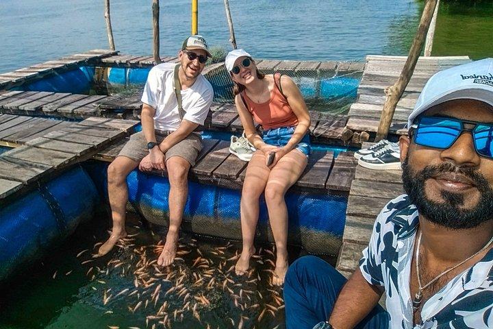 Sri Lanka Customizable Multi-Day Private Tour Packages