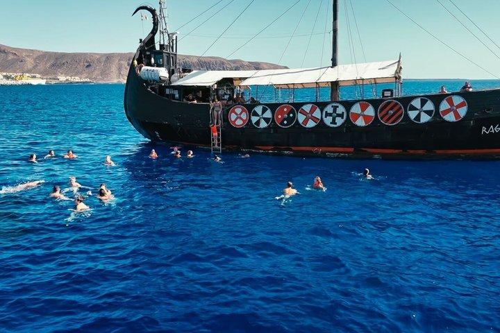 Crociera vichinga di 3 ore con bevande, osservazione delle balene e nuoto