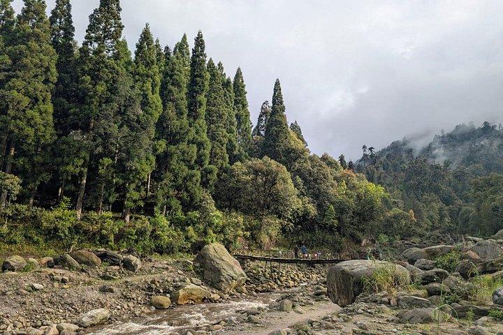 Sandakphu 6 Day Trek with Guide and Meals