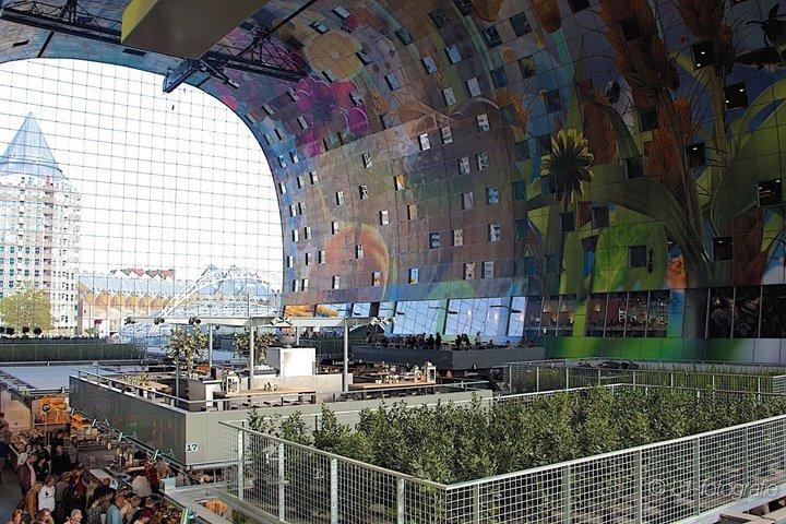 Rotterdam Walking tour