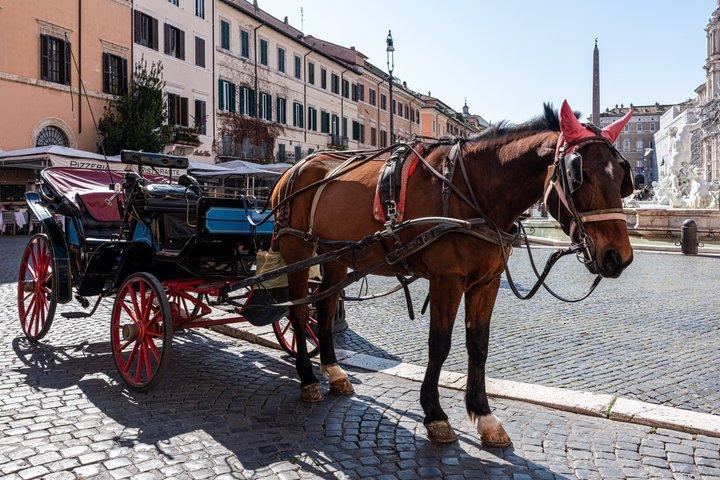 Rondleiding met een paardenkoets door het Colosseum in Rome