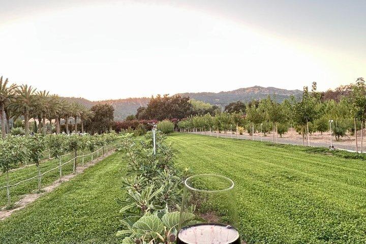Luxury Private Napa Valley Wine Tour Napa e Sonoma