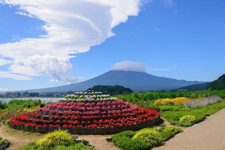 富士山ツアー : 新倉山浅間公園、忍野八海＆大石
