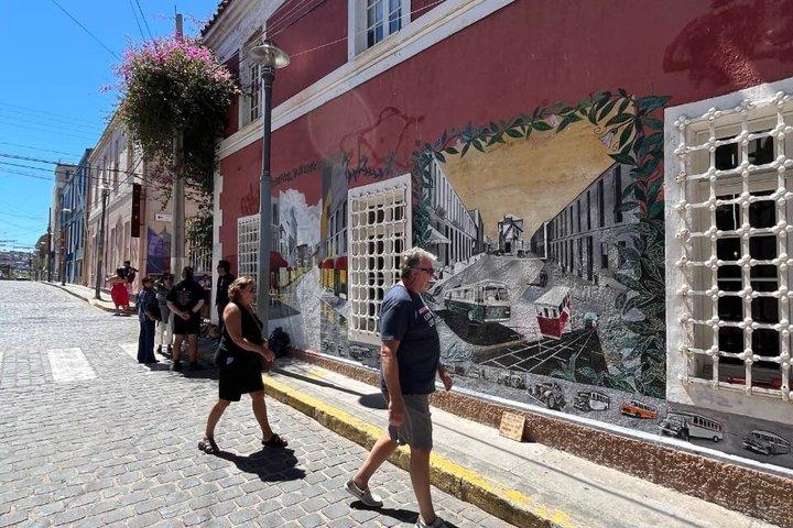 Valparaiso Private Tour with Wine Tasting from Santiago