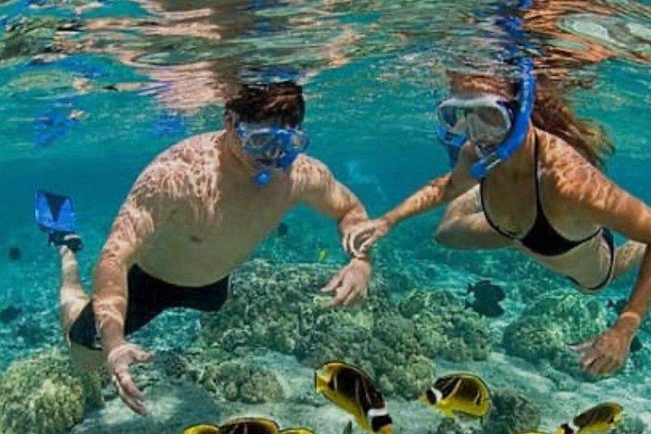 モンテゴベイ深海釣りとモンテゴベイヒップストリップストップ