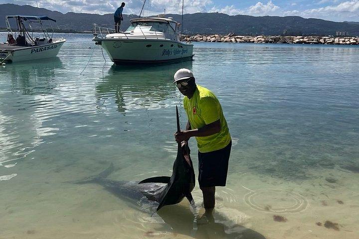 モンテゴベイ深海釣りとモンテゴベイヒップストリップストップ