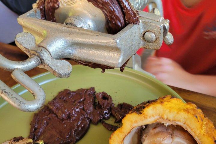ミンカ：エコハイキング、コーヒー農園、カカオ、自然の滝