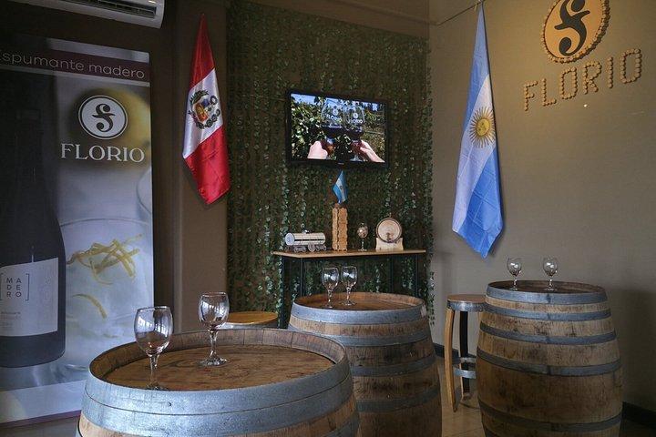 Discover Buenos Aires: City Tour