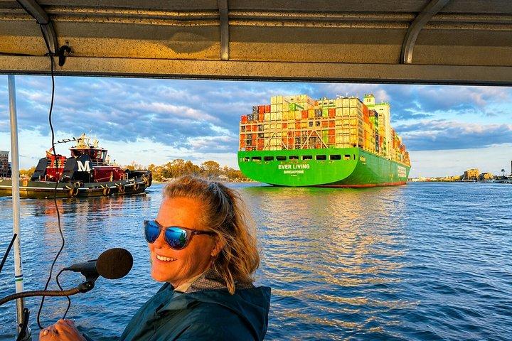 Fortællet havnerundfart på Savannah