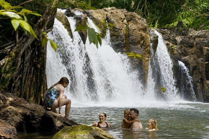 Kauaʻi Waterfall Hike: Exclusive Kīpū Valley & Treehouse