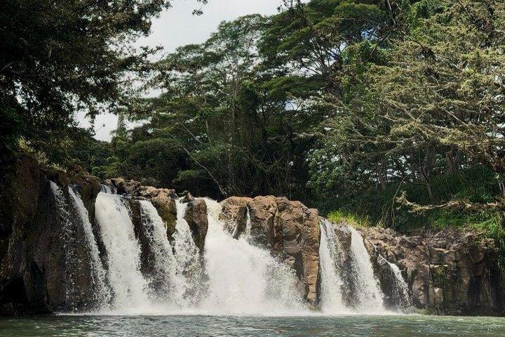 Kauaʻi Waterfall Hike : Exclusivo Valle de Kīpū & Treehouse