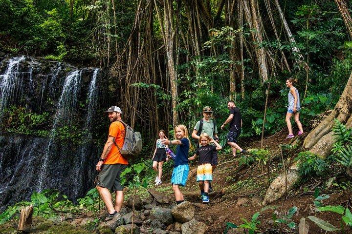 Kauaʻi Waterfall Hike : Exclusivo Valle de Kīpū & Treehouse