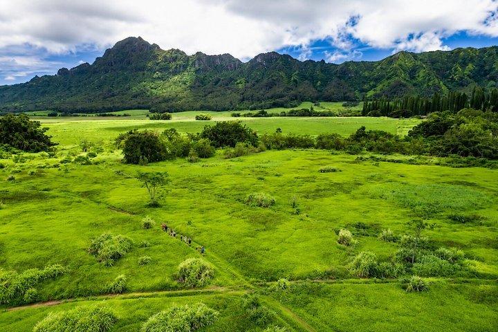 Kauaʻi Waterfall Hike : Exclusivo Valle de Kīpū & Treehouse