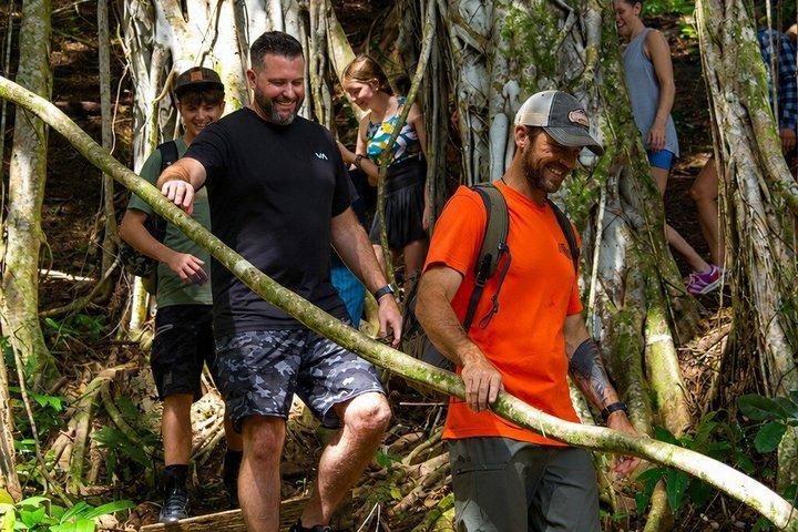 Kauaʻi Waterfall Hike : Exclusivo Valle de Kīpū & Treehouse