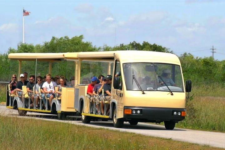 From Miami: Everglades Nature and Wildlife Tram Adventure