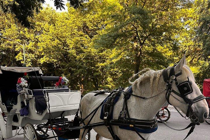 Billeder af Central Park Carriage Ride