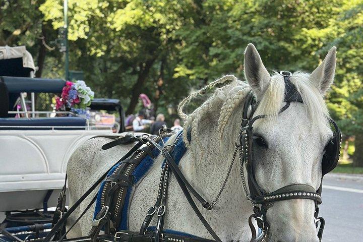 Billeder af Central Park Carriage Ride