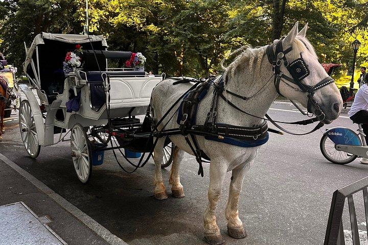 Billeder af Central Park Carriage Ride