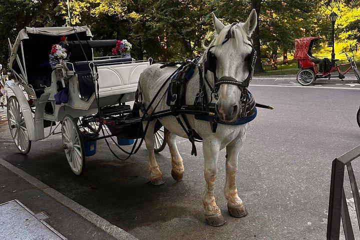 Billeder af Central Park Carriage Ride