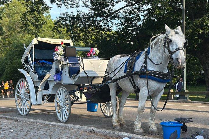 Billeder af Central Park Carriage Ride