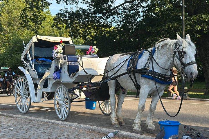 Billeder af Central Park Carriage Ride