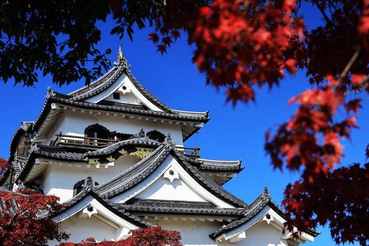 Søen Biwa Cruise, Chikubu Island og Hikone Castle i Kyoto Tour